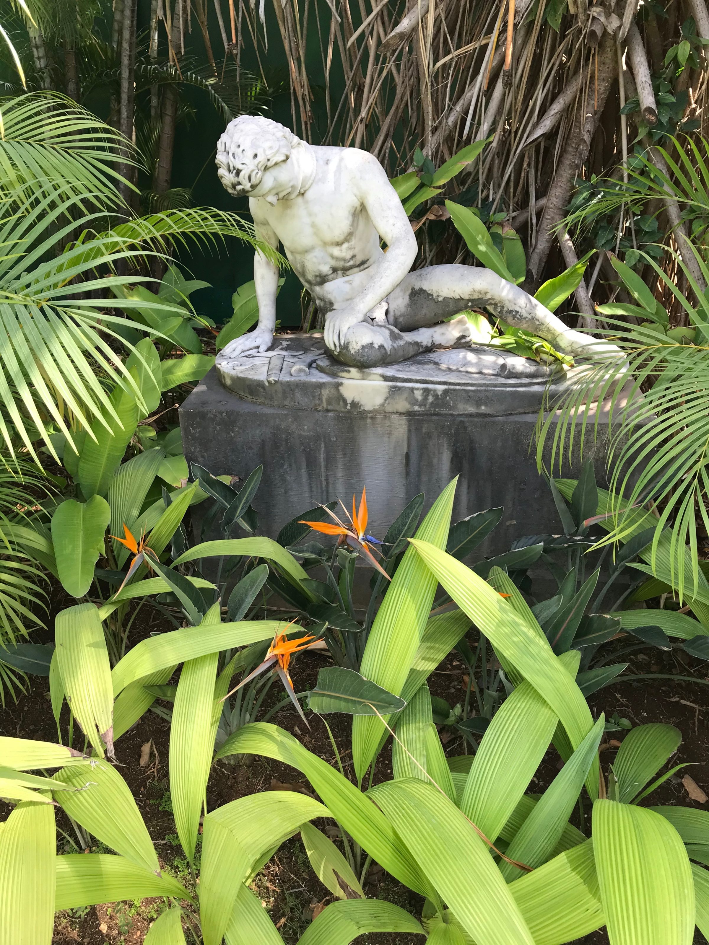 Ambassade — jardin et lumière