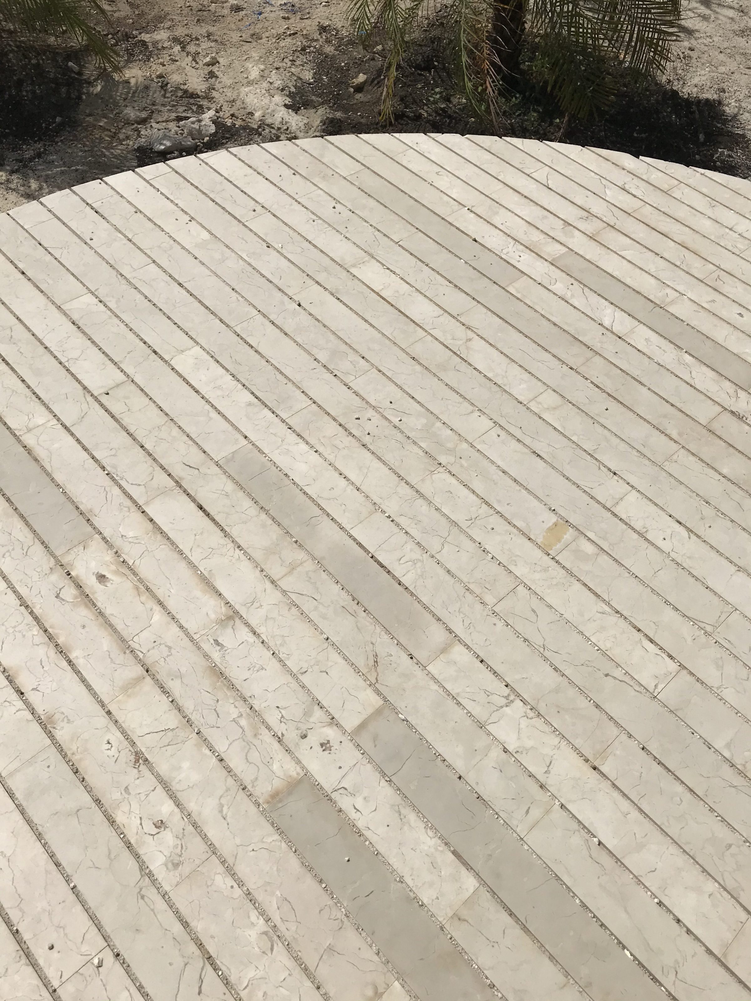 Cayo Cruz — palette ornementale et espèces endémiques