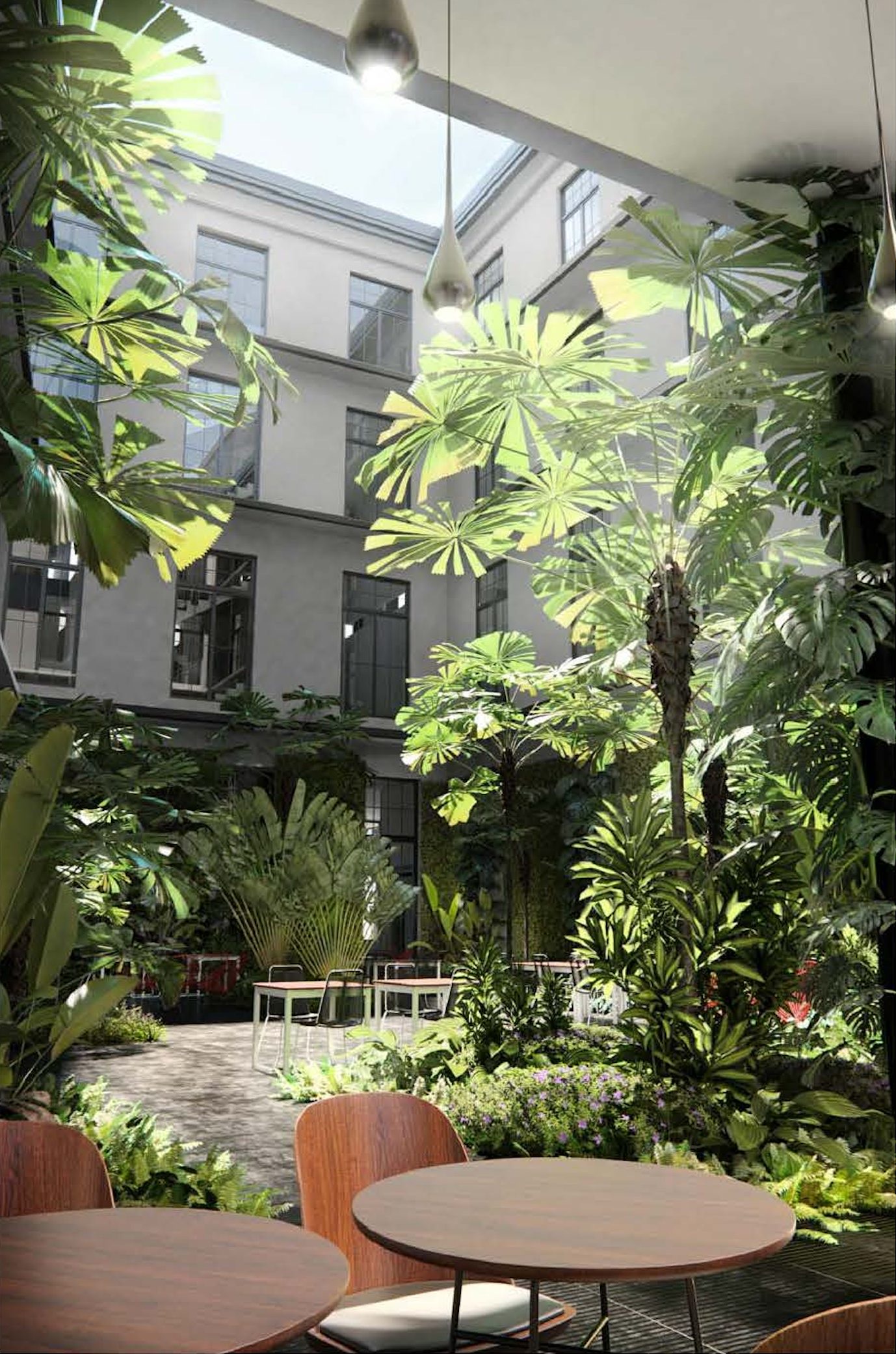Hôtel Corona — arbres du voyageur
