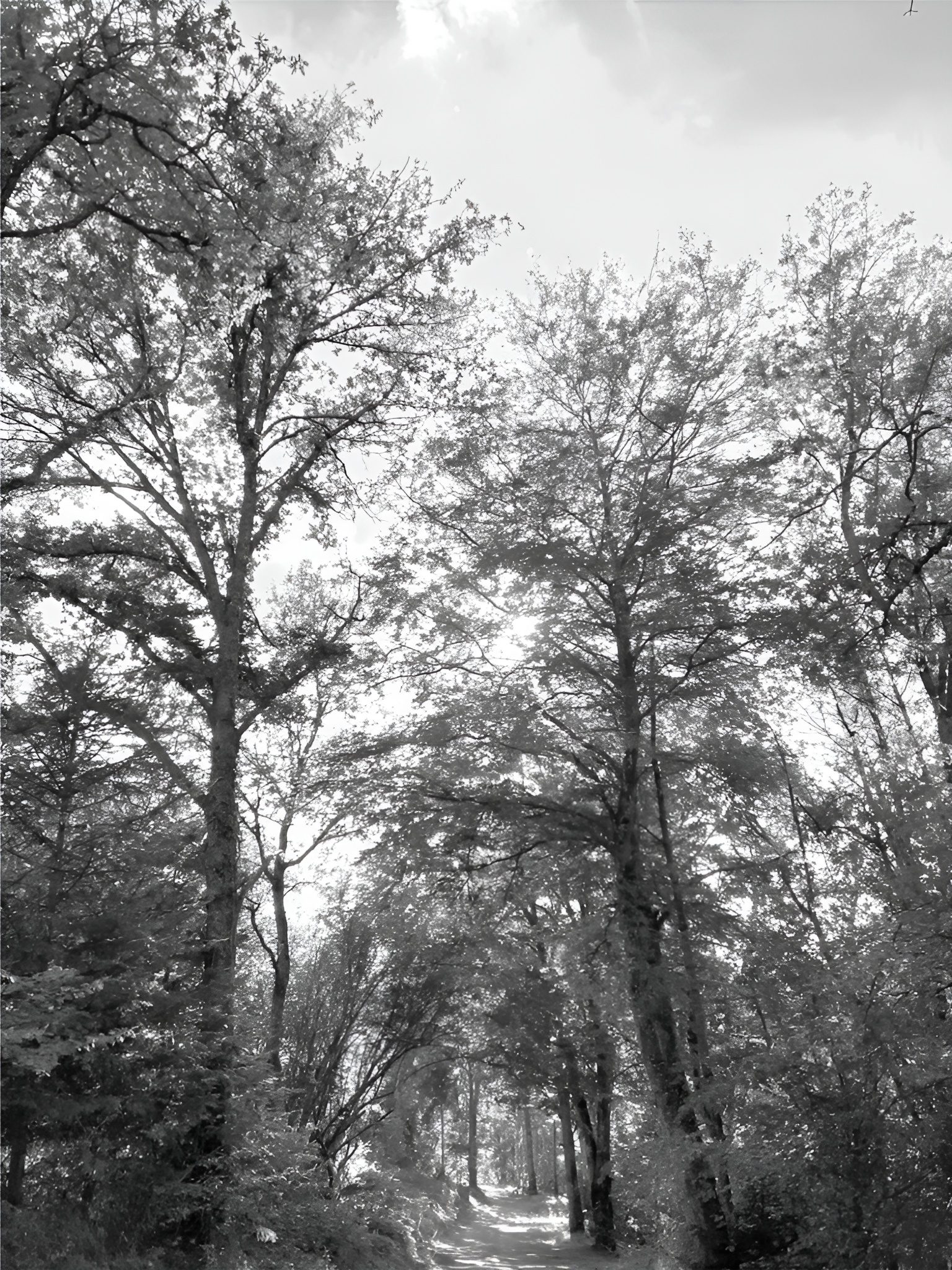 Parc privé — conception Stéphane Magre