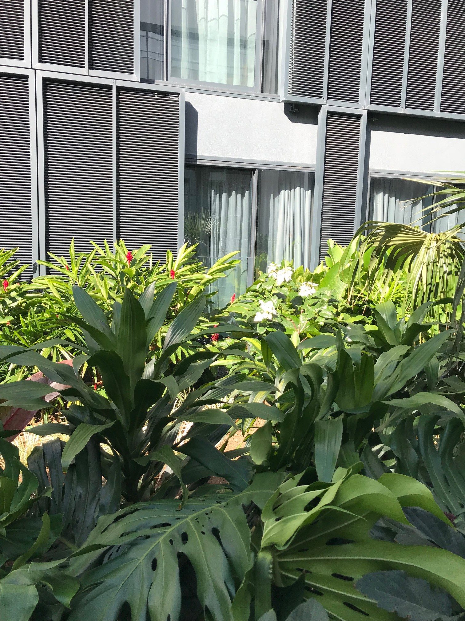 Iberostar — patio de plain-pied