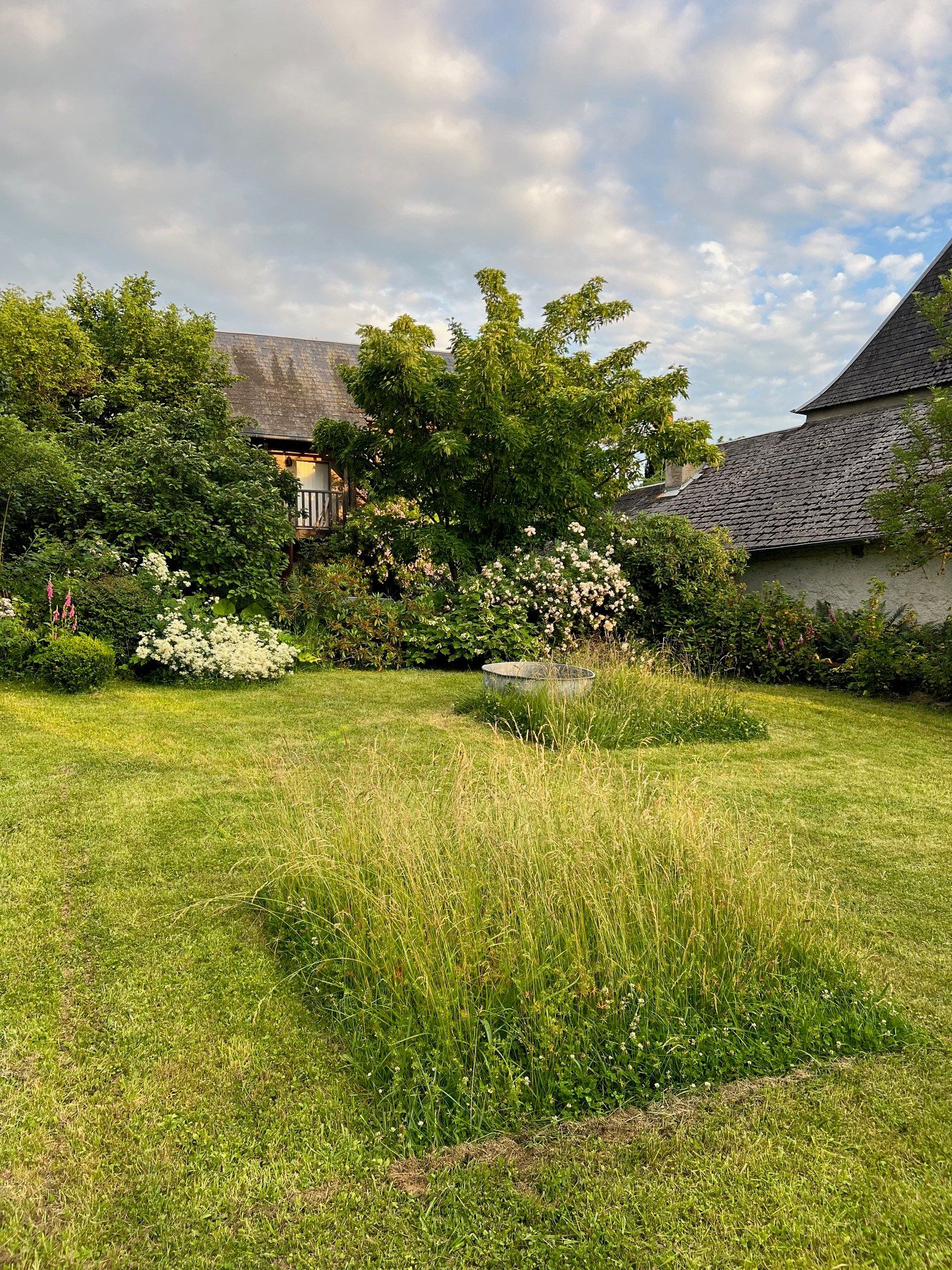 Détail de jardin