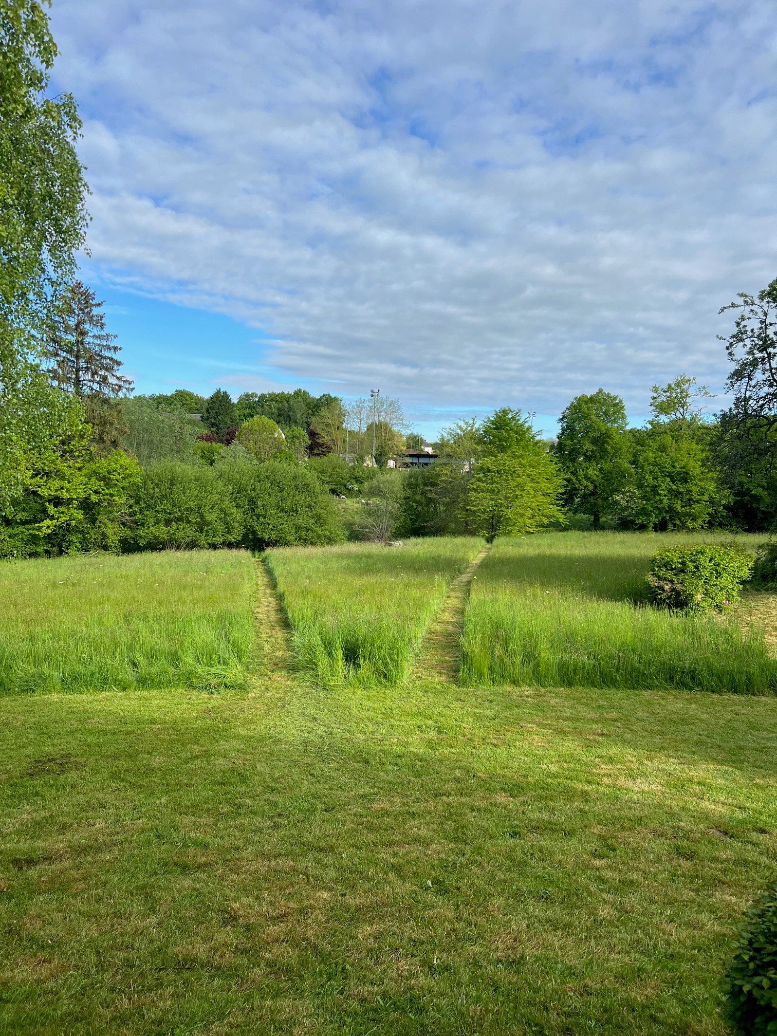 Jardin Privé — vue d'ensemble, lumière
