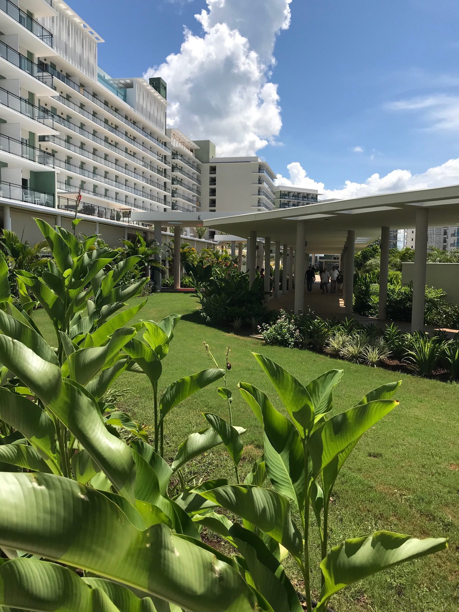 Melina International — chemins en creux