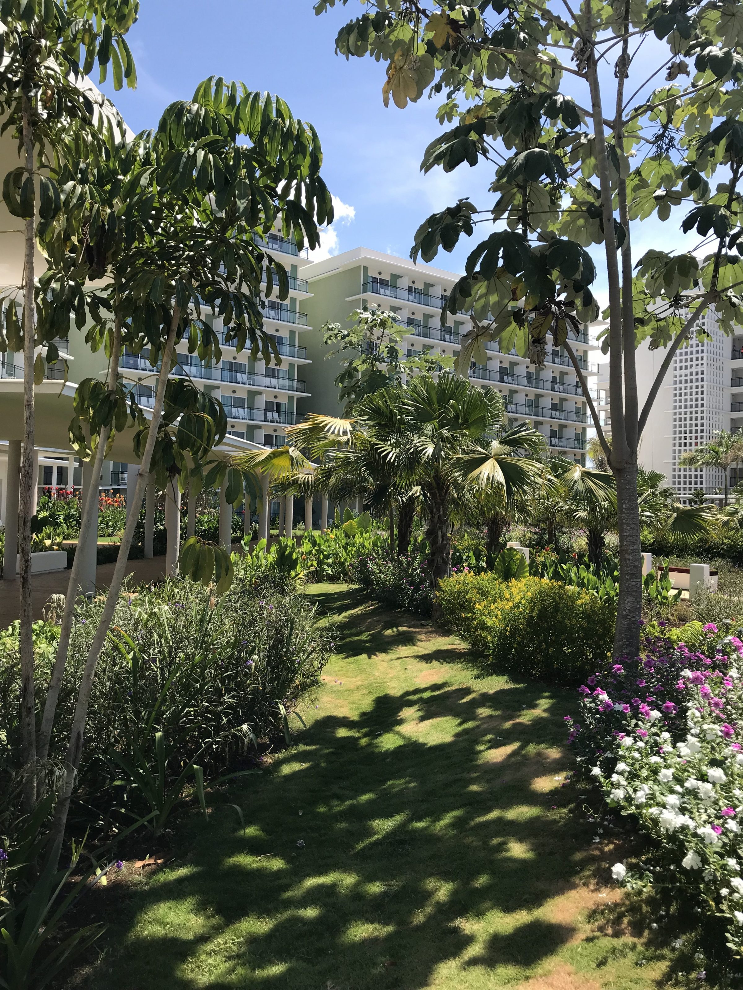 Melina International — palmiers et grands arbres
