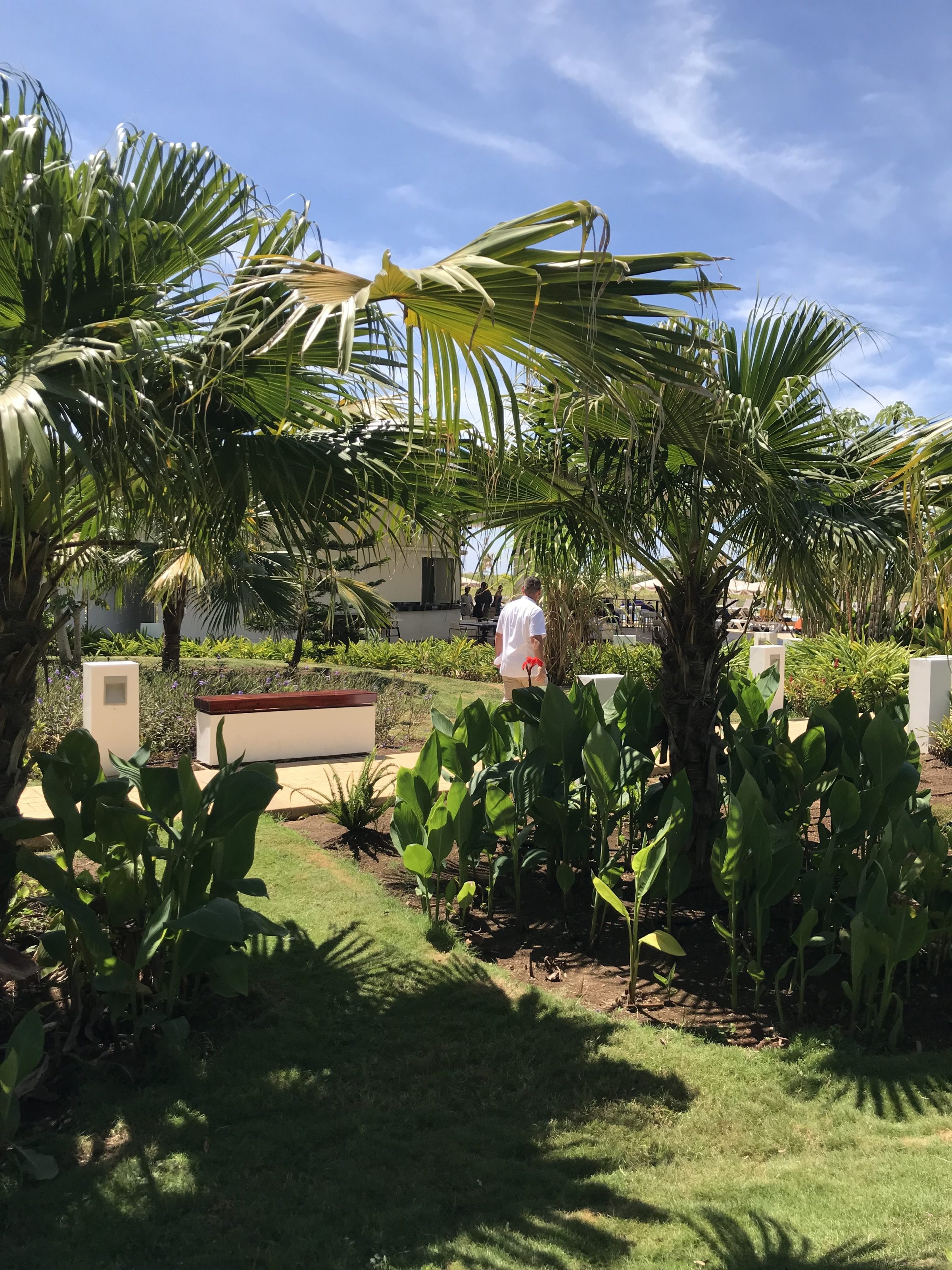 Melina International — couvre-sols tropicaux