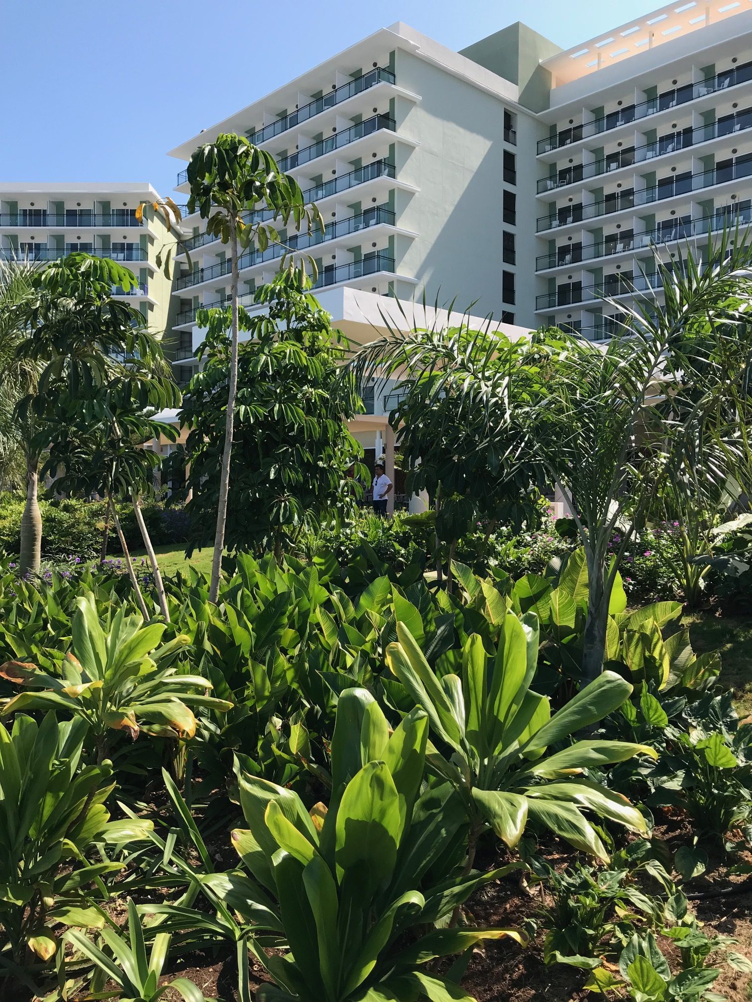 Melina International — piscine dans le jardin