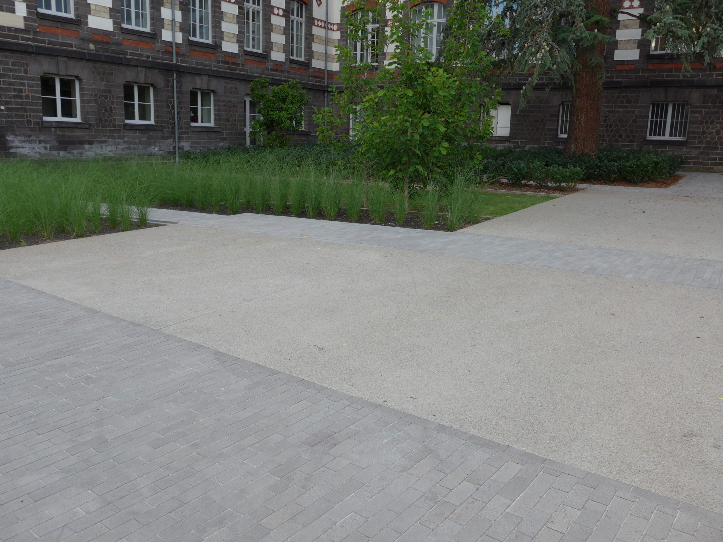 Les Normaliennes — jardin linéaire de graminées