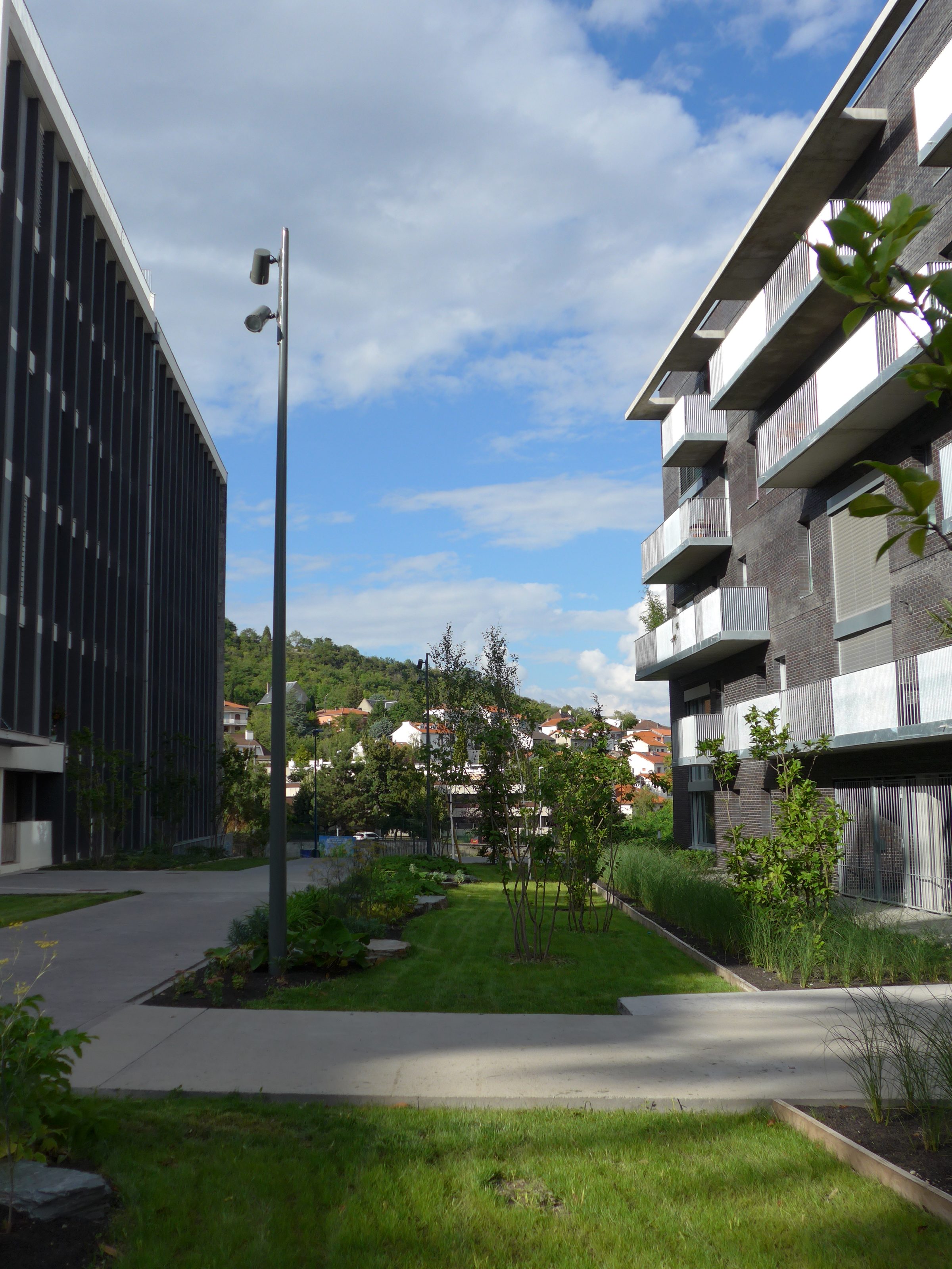 Les Normaliennes — plantations structurantes