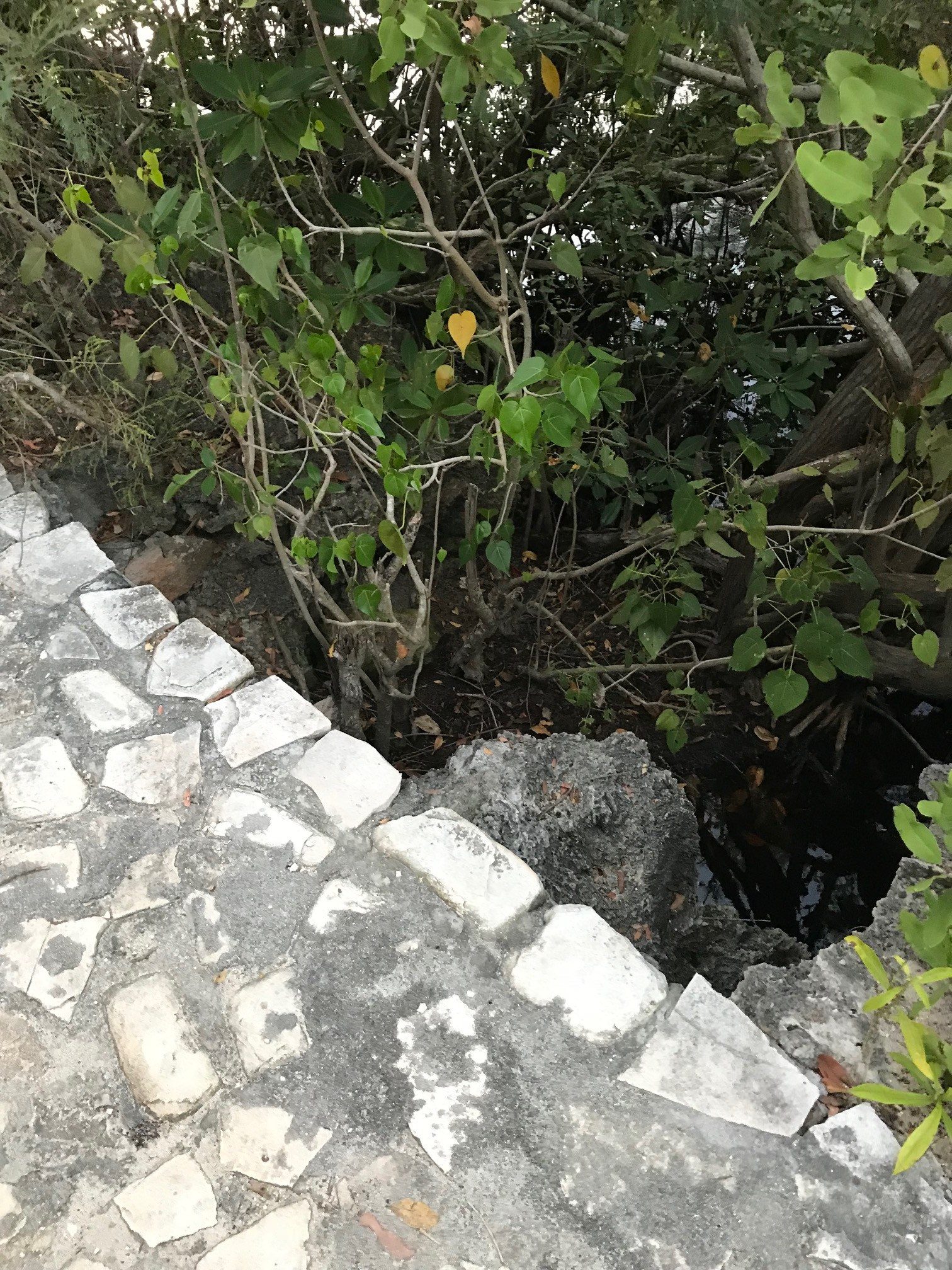 La Traversée — chemin et marée